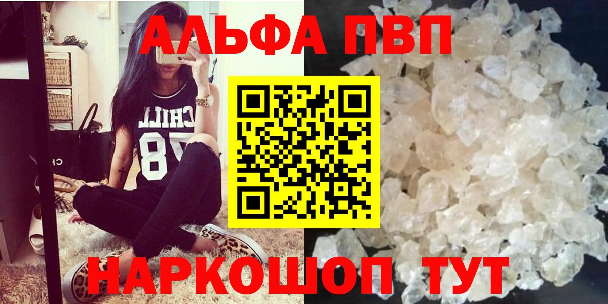 Alfa_PVP СК КРИС Сунжа