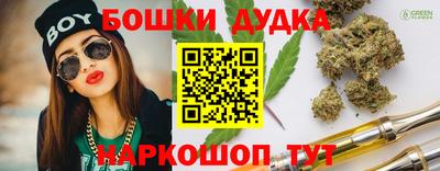 дмт Новокубанск