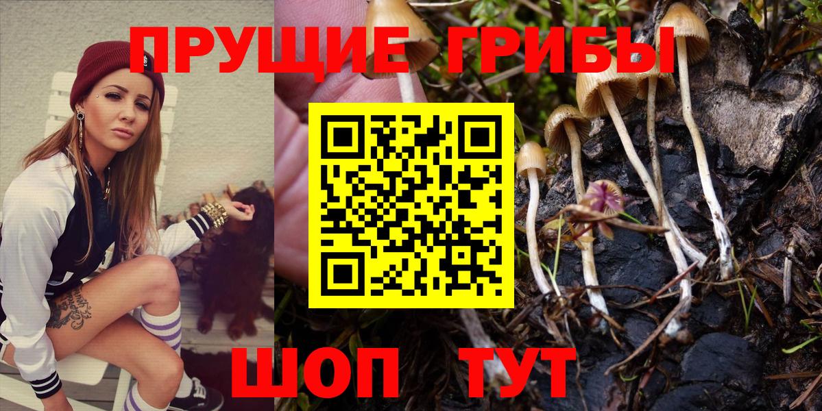 Галлюциногенные грибы MAGIC MUSHROOMS Сунжа
